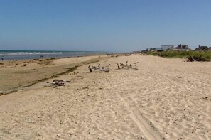 Playa en los alrededores 