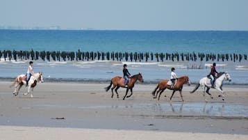 Una spiaggia nelle vicinanze