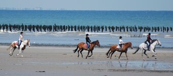 Normandiet, Manche, Quinéville, strand 50 m, Ste Mère Eglise, landingsstrand
