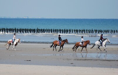 House / Villa - Quinéville House with garden