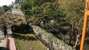 A hillside property with a paved pathway, a stone wall, and a building with a balcony. - The Mapple Cottage (Nainital)