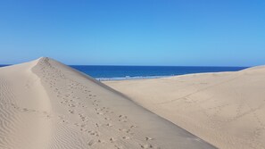 A desert landscape with sand dunes and a beach.