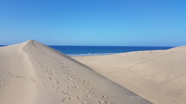 Plage à proximité