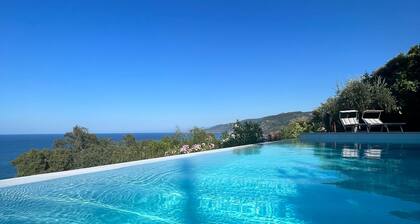 The swimming villa with pool