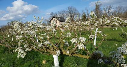 En Anjou dans le potager du chĂąteau, Peace, flower and vegetable