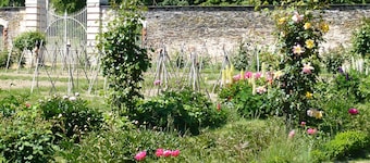 En Anjou dans le potager du château, Peace, flower and vegetable