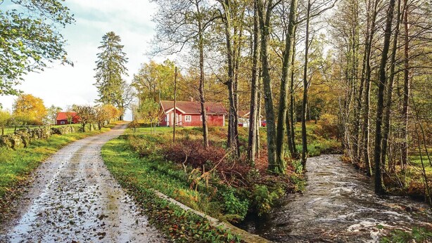 A rural road leading to a red barn surrounded by trees and greenery. - Amazing home in Hästveda with WiFi (Hästveda)
