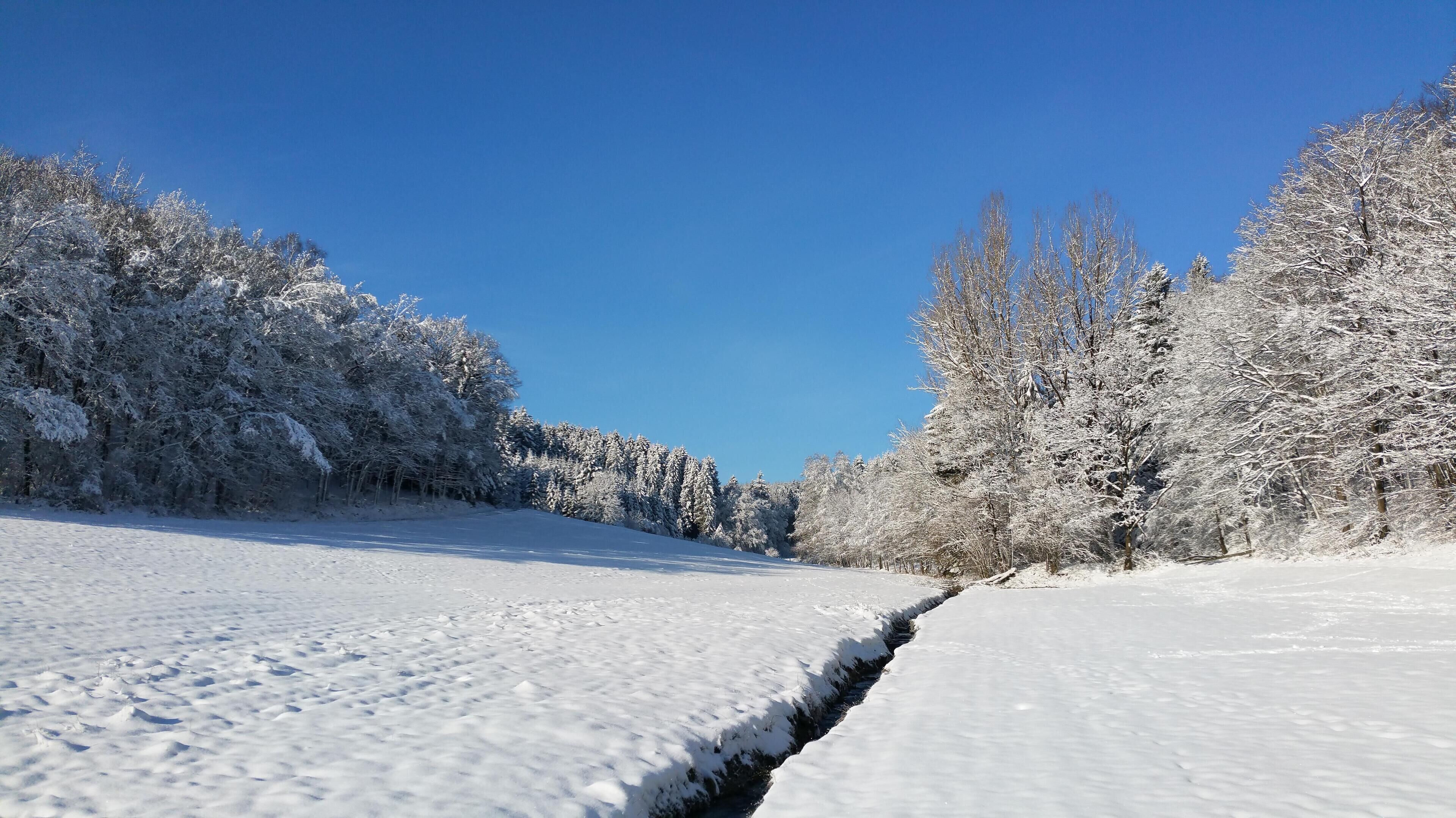 Ett snötäckt landskap med en klar himmel.
