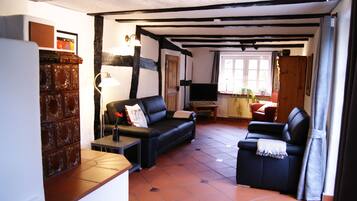 TV, fireplace, DVD player