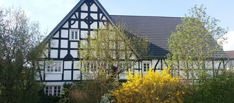 Relaxing country holiday with a variety of activities and excursions