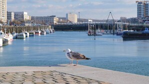 Eine Möwe steht auf einem Betonvorsprung an einer Marina, im Hintergrund Schiffe und Gebäude.