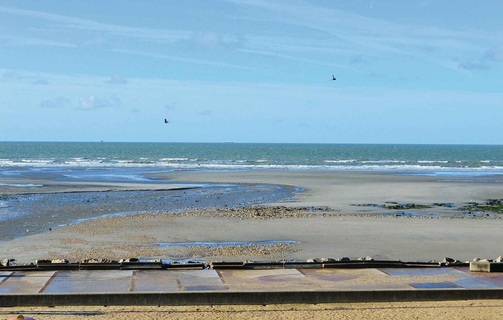 Une plage avec une barrière en béton et une rive sablonneuse.