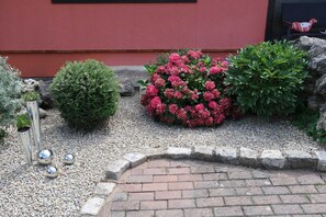 Terrain de l’hébergement 