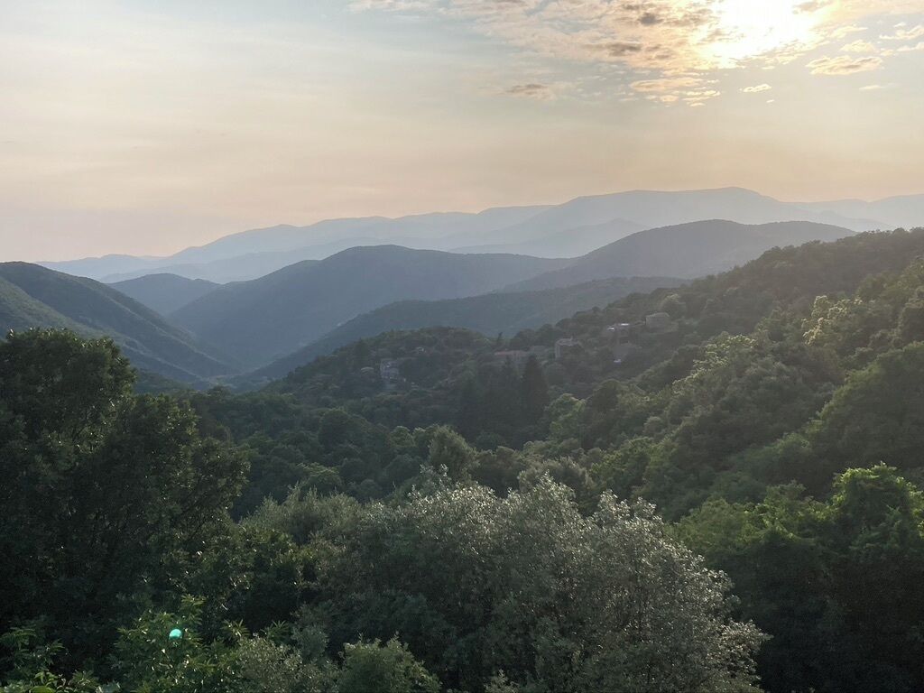 Eine gebirgige Landschaft mit dichtem Wald und sanften Hügeln in der Ferne.