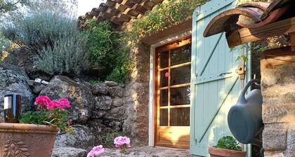 small, cozy eco-house for environmentally conscious nature-lover