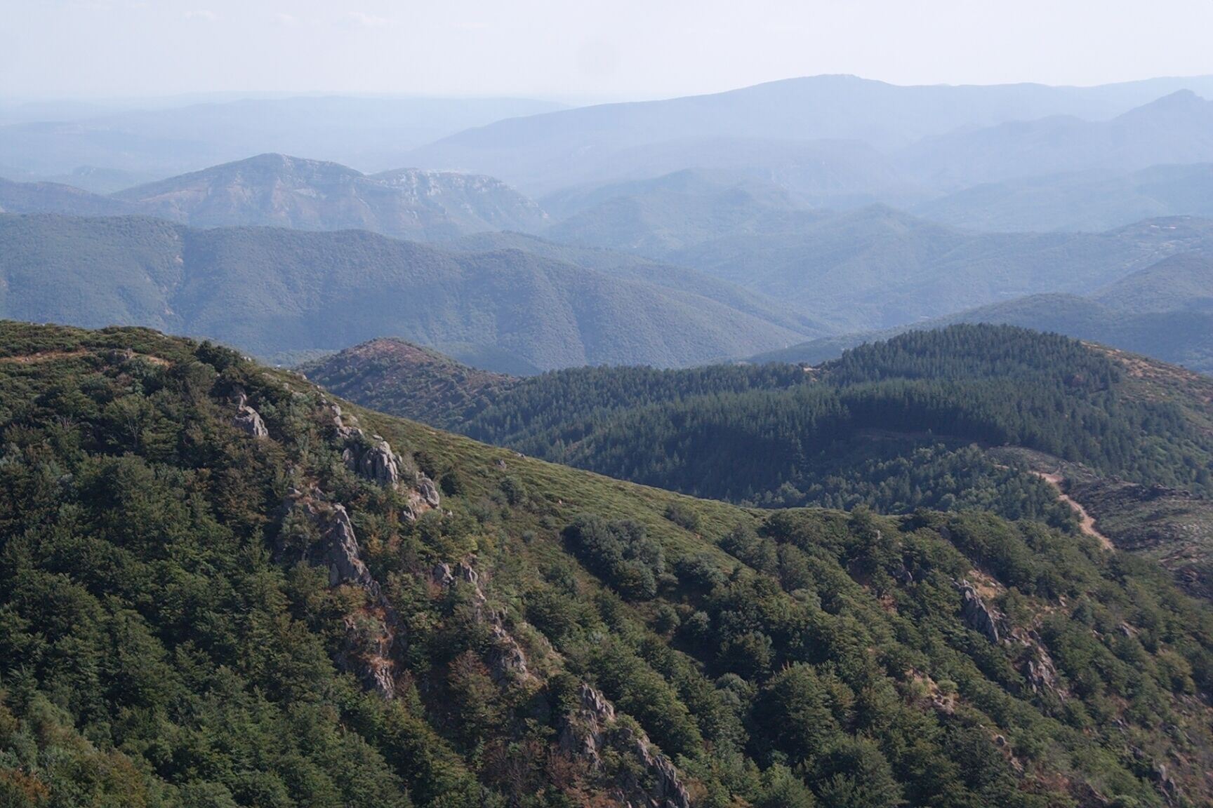 A mountainous landscape with dense forests and rocky terrain.