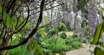 Elegant stone house in the countryside with swimming pool