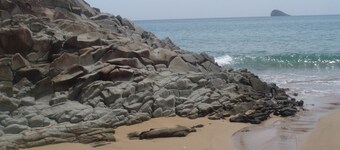 Sonderangebot 420 € pro Woche für 2 Personen vom 01/01 bis 30/03/19 oder 6 Nächte.