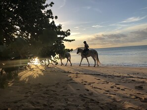 Playa