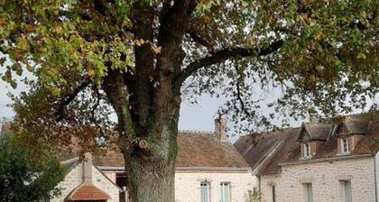 GĂźte charmant Ă 30 min d'Amboise