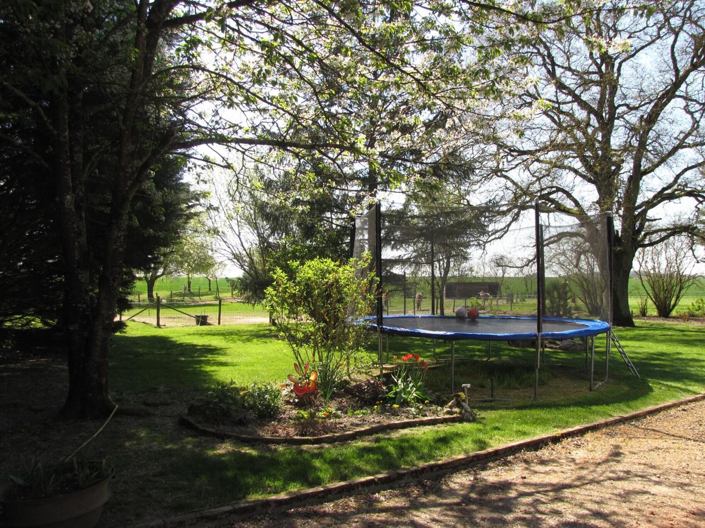 Un trampoline installé dans un espace herbeux, avec des arbres et une clôture.