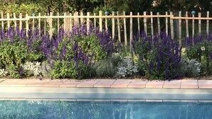 Ein Schwimmbad mit Holzzaun und blühenden violetten Blumen im Hintergrund.