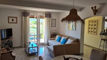 Télévision, lecteur de DVD, livres