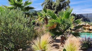 Un jardín ajardinado con diversas plantas, un banco de madera y una piscina al fondo.