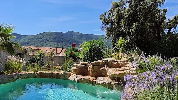 Una piscina cristalina con borde rocoso, rodeada de abundante vegetación y un telón de fondo montañoso.