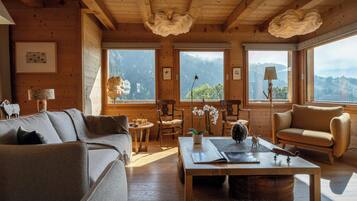 Kamin, DVD-Player, Stereoanlage