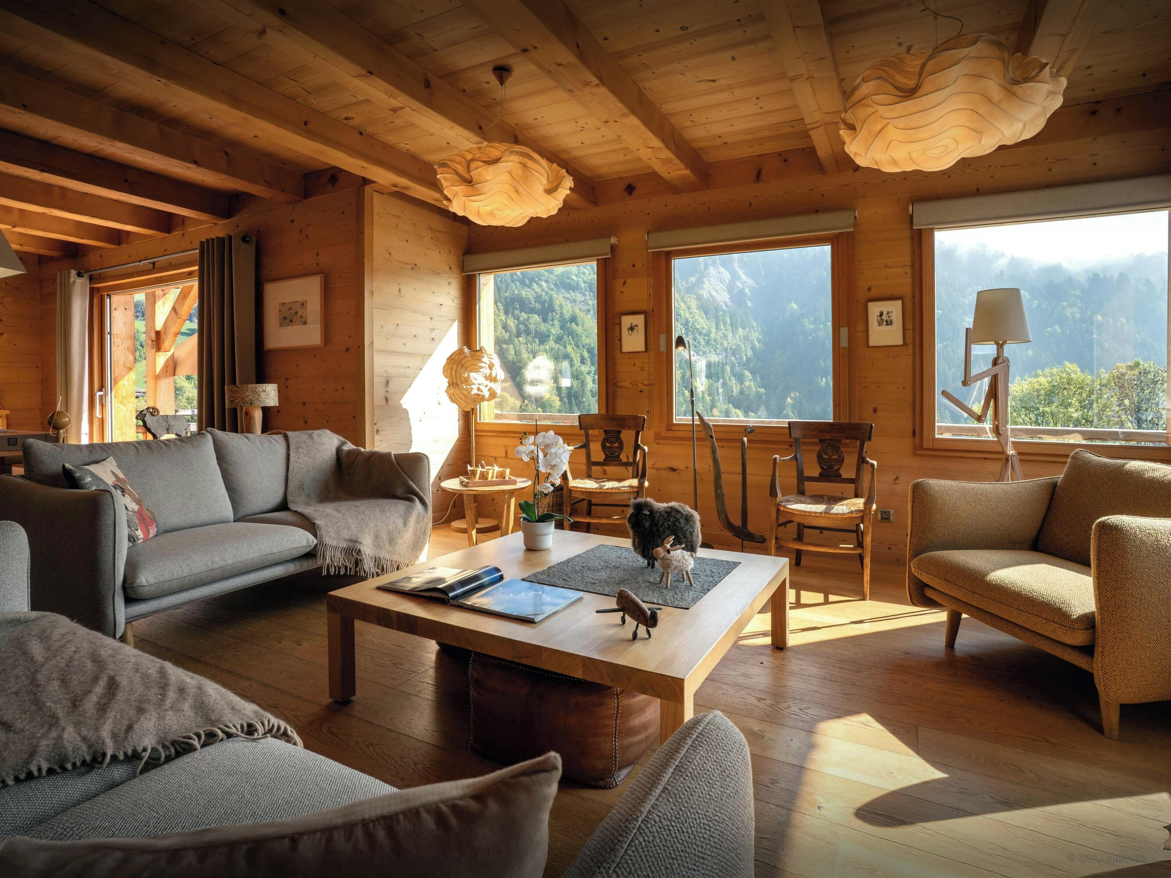 壁爐、DVD 播放機、音響