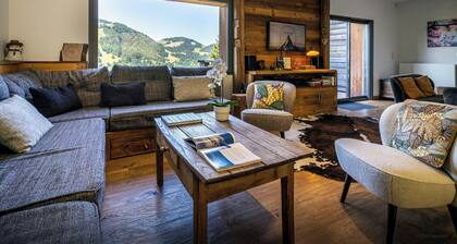 Chalet 4 * zeitgenössisch in der Nähe der Piste, 3 km von La Clusaz-wifi - OVO Network
