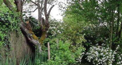 Ăvasion Ă  LuzillĂ© : Havre de Paix avec Jardin Privatif, proche Chenonceau et Beauval