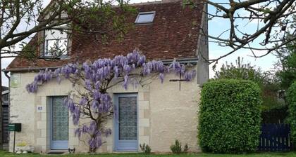 GĂźte de charme avec jardin, proche Chenonceau et Beauval