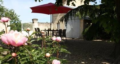 Authentisches Erlebnis im Herzen der Chinon-Weinberge