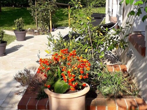 Charmante maison Touraine avec jardin clos près d'Amboise