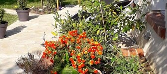 Charming Touraine house with garden near Amboise