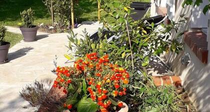 Charmante maison Touraine avec jardin clos prĂšs d'Amboise