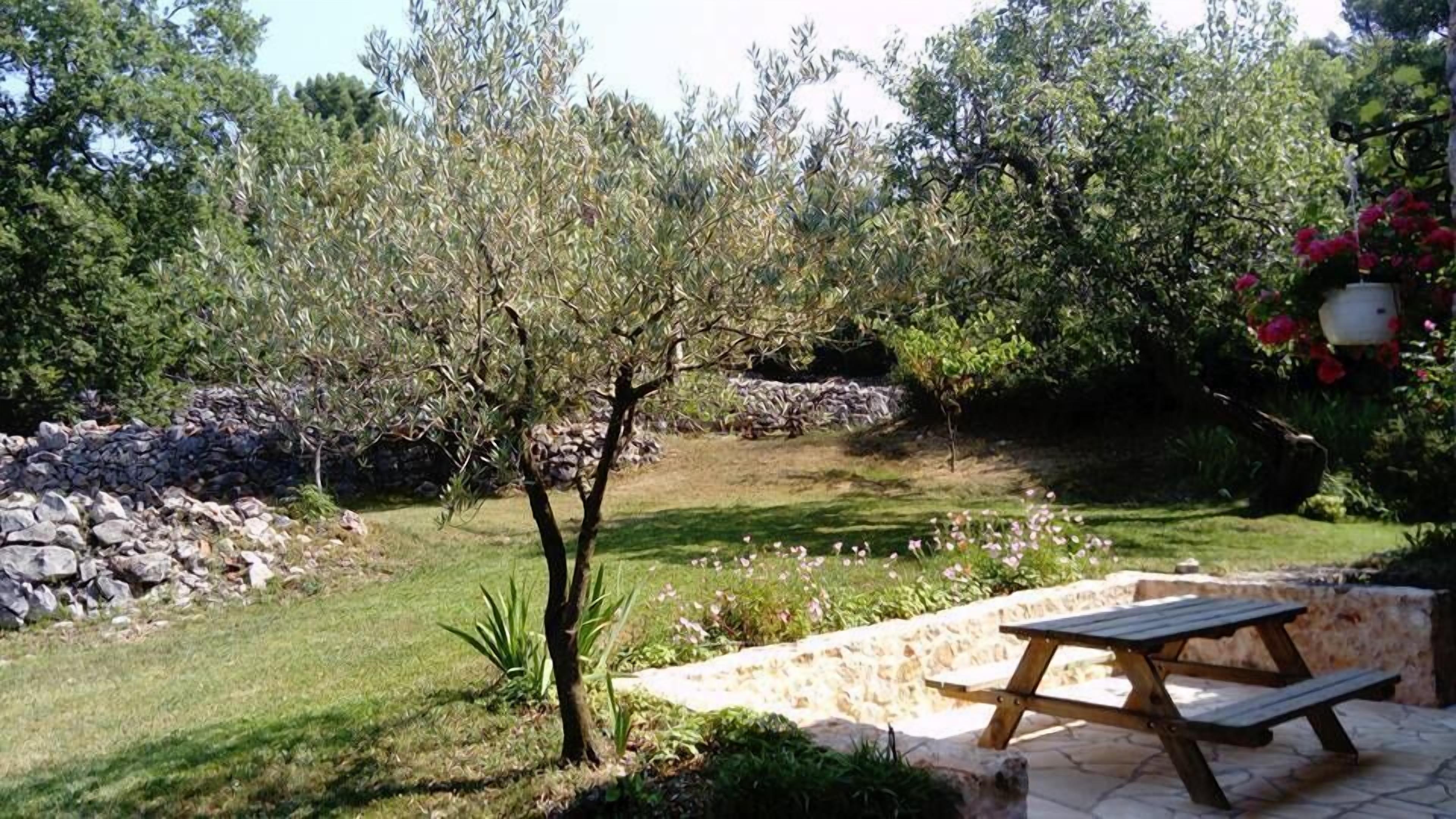 A garden with a stone wall, a wooden picnic table, and various plants.