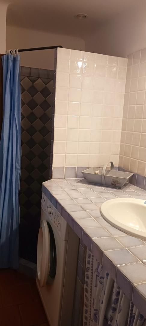 A bathroom with a washing machine, a sink, and a shower curtain.