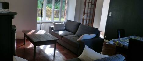 Televisión, chimenea y reproductor de DVD