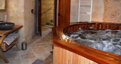 Charming troglodyte house with game room and spa in Vouvray