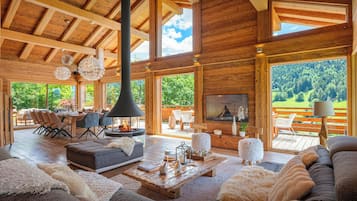 TV, fireplace, video games, DVD player