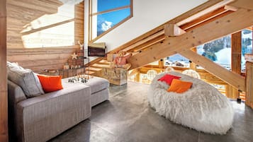 TV, fireplace, video games, DVD player