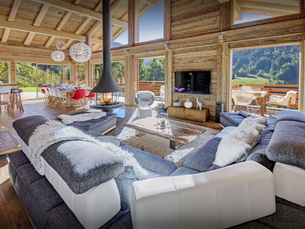 TV, fireplace, video games, DVD player