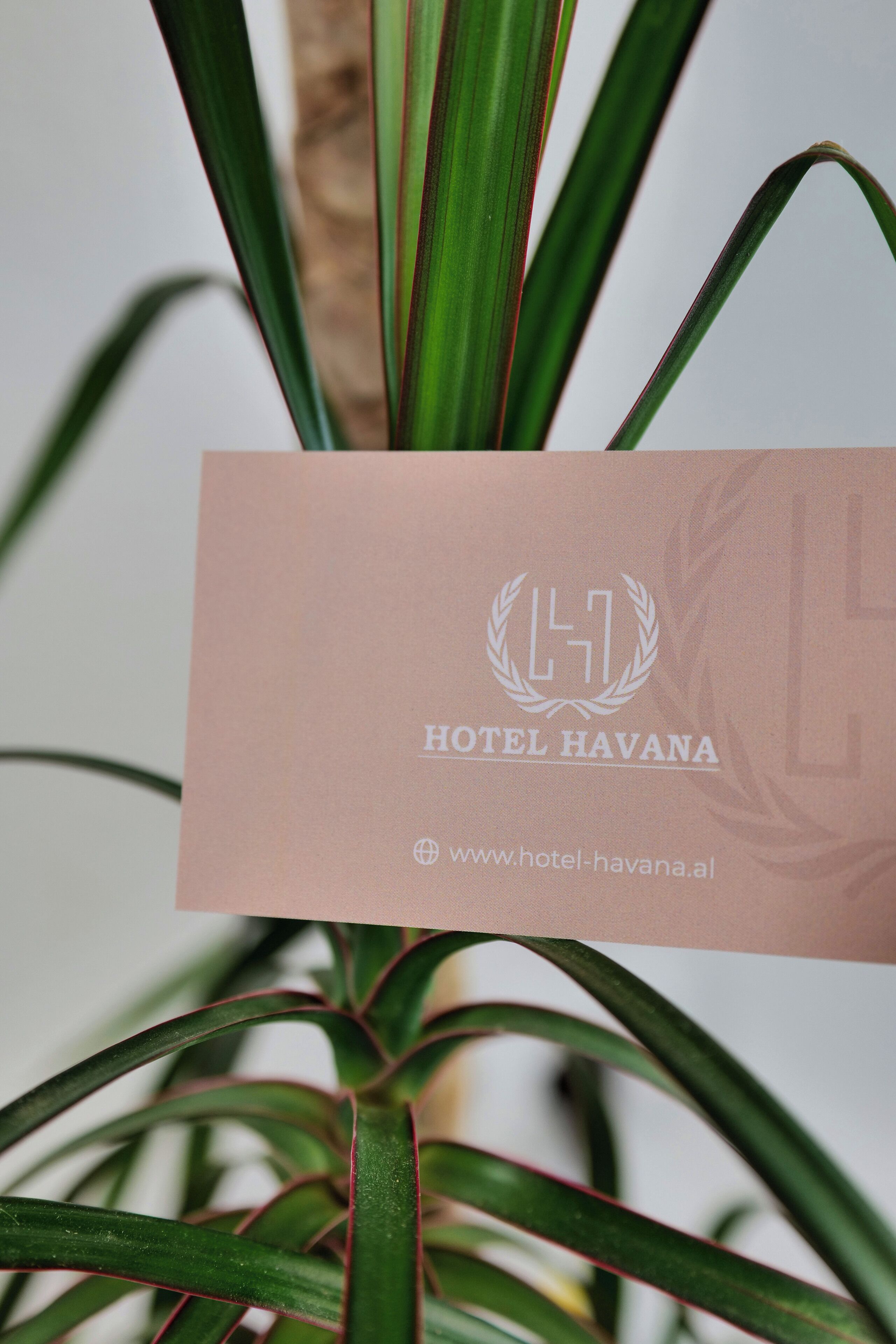 Foto - Hotel Havana