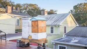 A beehive on a rooftop with a wooden structure and a chimney. - Downtown Historic District Gem w/ Courtyard + 3 King Beds by Lucky Savannah (Savannah)