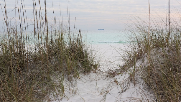 A beach with sand dunes and sparse vegetation. - This adorable cottage is DIRECTLY ON THE BEACH-RARE FIND! (Panama City)