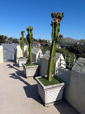Enjoy the serene rooftop view with a unique arrangement of potted cacti along a low wall.