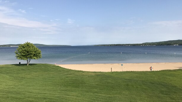 Uma área gramada com uma árvore e uma praia arenosa à beira de um lago calmo.